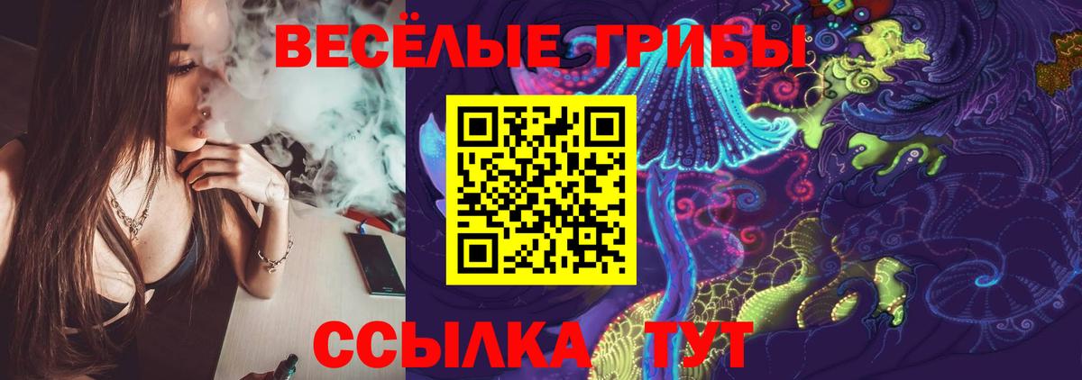 Галлюциногенные грибы Psilocybine cubensis Петровск